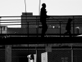 shadows2